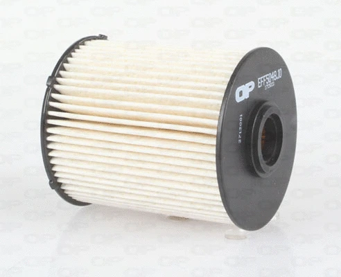 Fuel Filter (EFF5048.10)