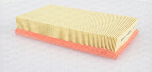 Air Filter (EAF3525.10)