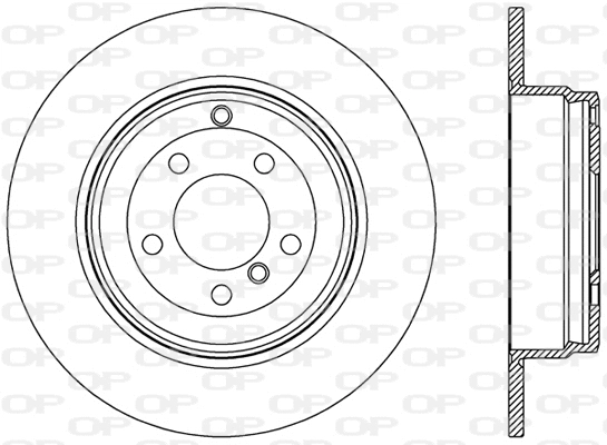 Brake Disc (BDR2504.10)