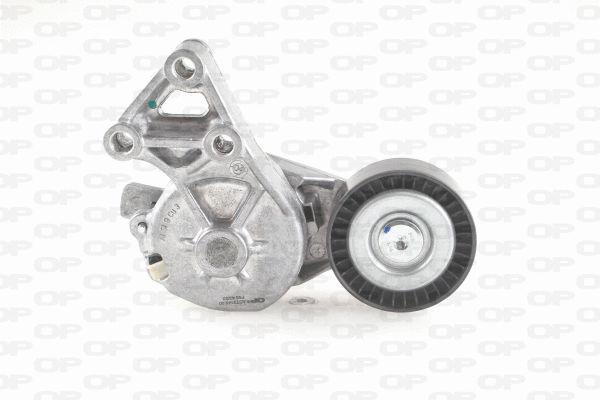 Belt Tensioner, V-ribbed belt (ACT2149.00)