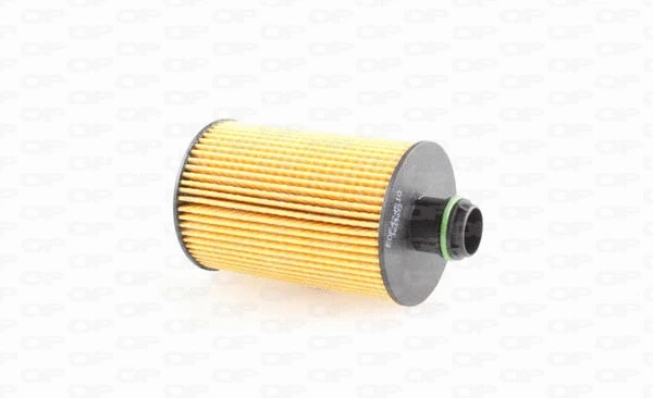 Oil Filter (EOF4245.10)