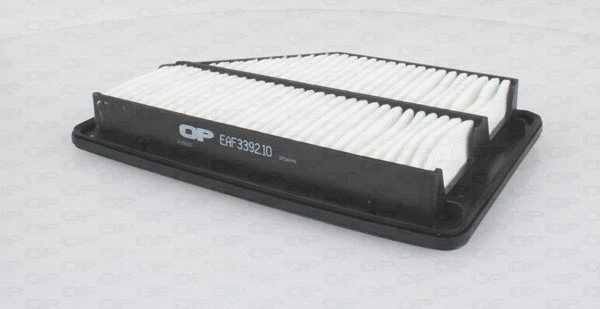 Air Filter (EAF3392.10)