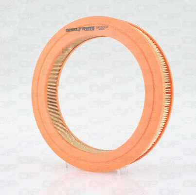 Air Filter (EAF3573.20)