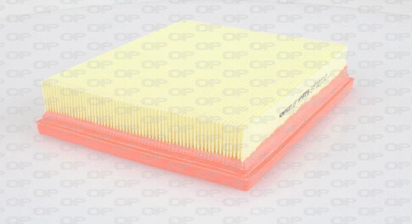 Air Filter (EAF3277.10)