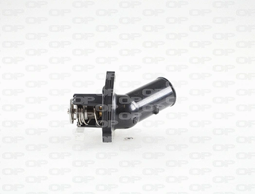 Thermostat, coolant (TRM1121.00)