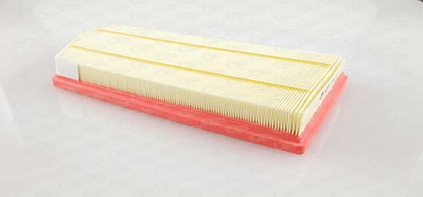 Air Filter (EAF3703.10)