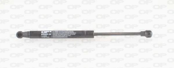 Gas Spring, boot/cargo area (GSR6091.00)