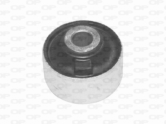 Mounting, control/trailing arm (SSS1132.11)