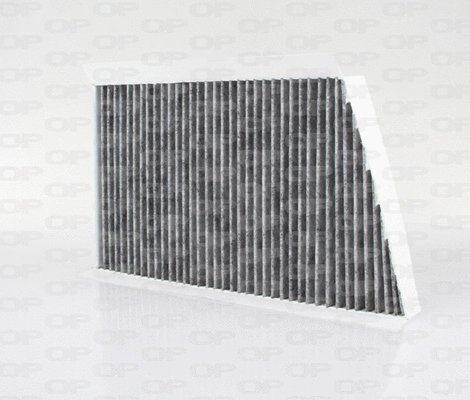 Filter, cabin air (CAF2108.11)
