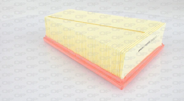 Air Filter (EAF3112.10)