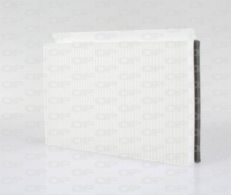 Filter, cabin air (CAF2121.01)