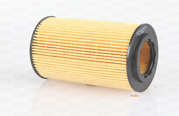 Oil Filter (EOF4134.10)
