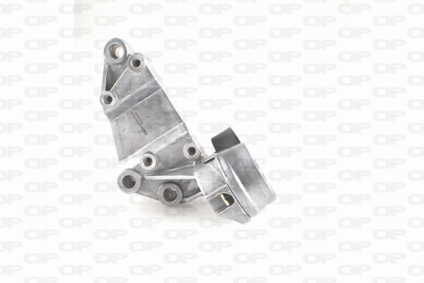 Belt Tensioner, V-ribbed belt (ACT2171.00)