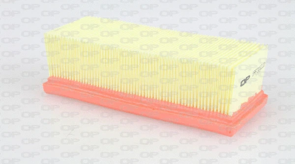 Air Filter (EAF3082.10)