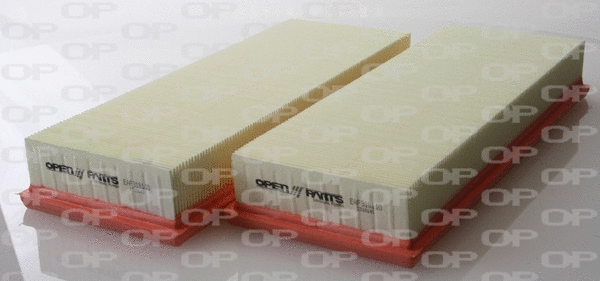 Air Filter (EAF3181.10)