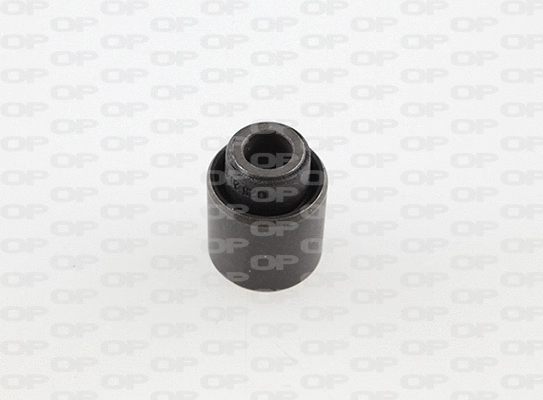 Mounting, control/trailing arm (SSS1207.11)