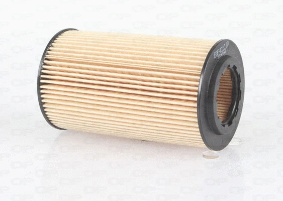 Oil Filter (EOF4022.10)