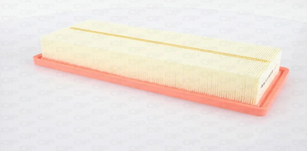 Air Filter (EAF3616.10)