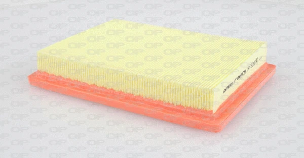 Air Filter (EAF3090.10)