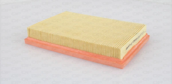 Air Filter (EAF3370.10)