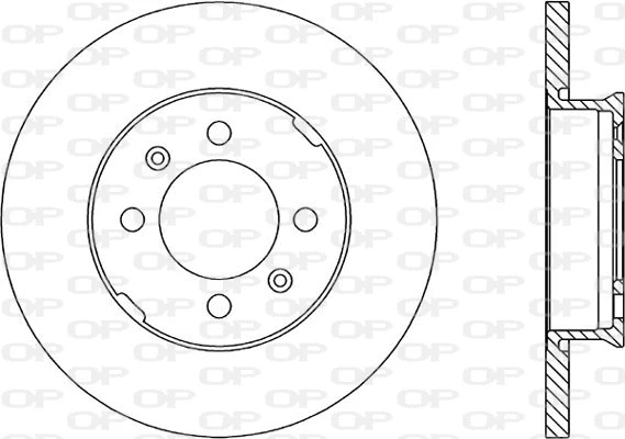 Brake Disc (BDR1049.10)