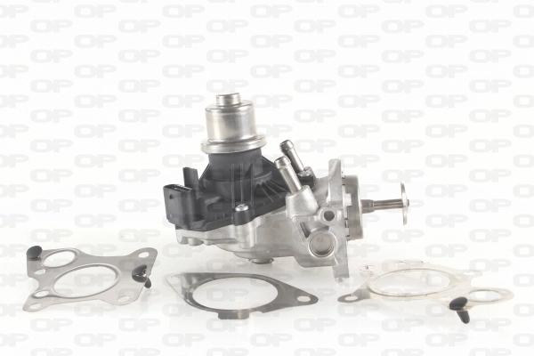 EGR Valve (EGR3009.00)