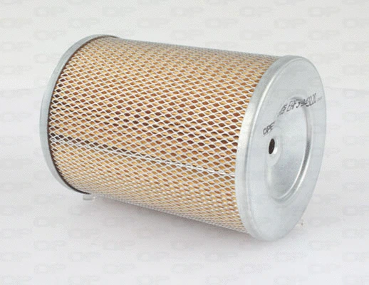 Air Filter (EAF3432.20)