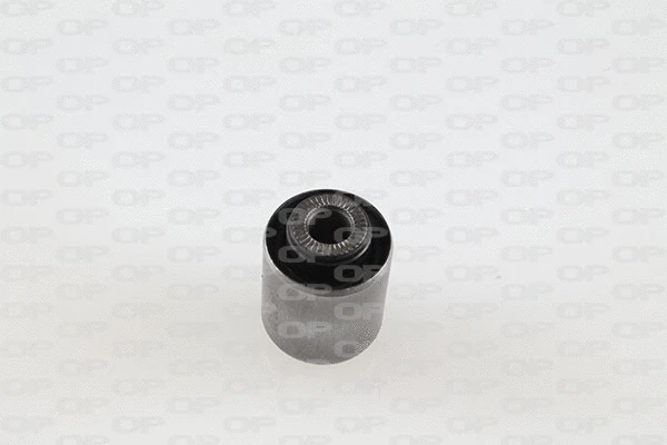 Mounting, control/trailing arm (SSS1179.11)