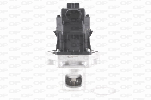 EGR Valve (EGR3001.00)