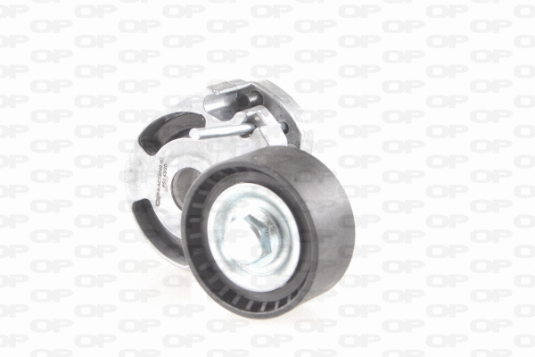 Belt Tensioner, V-ribbed belt (ACT2048.00)