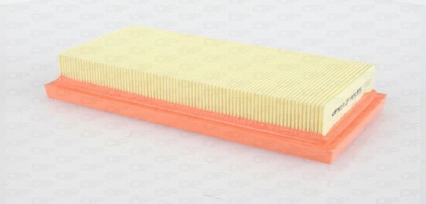 Air Filter (EAF3632.10)