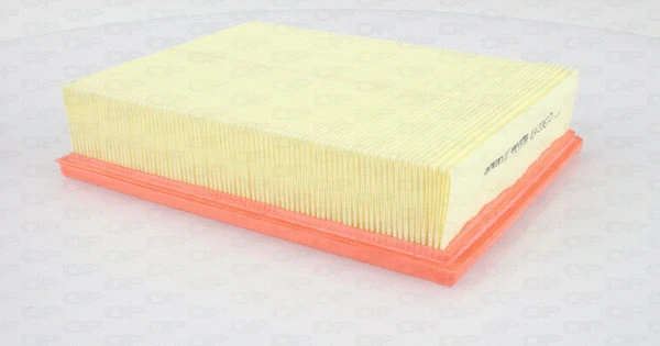 Air Filter (EAF3362.10)