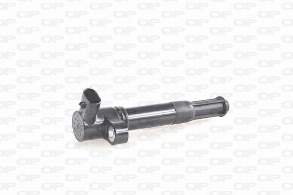 Ignition Coil (IGN1003.00)