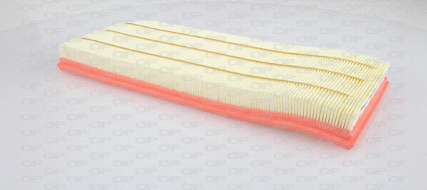 Air Filter (EAF3215.10)