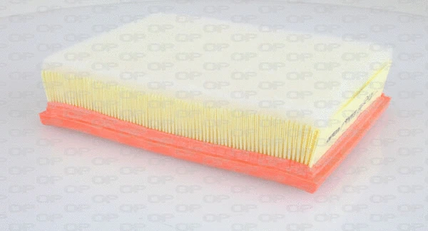 Air Filter (EAF3224.10)