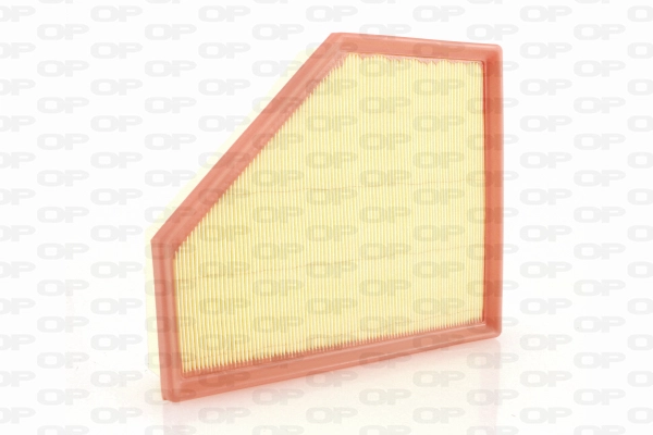 Air Filter (EAF3744.10)