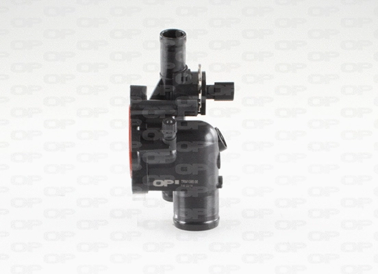 Thermostat, coolant (TRM1065.00)