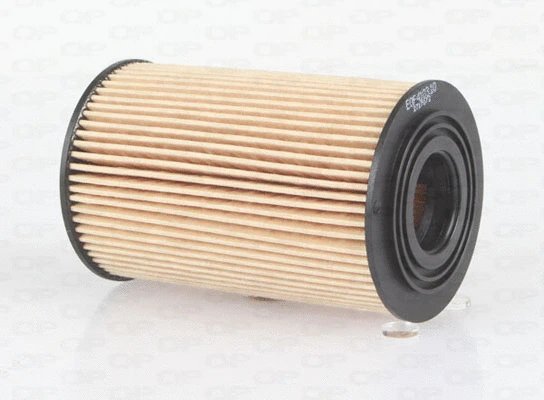 Oil Filter (EOF4103.10)