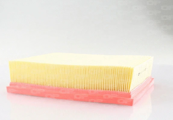 Air Filter (EAF3125.10)