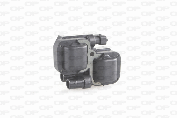 Ignition Coil (IGN1021.00)