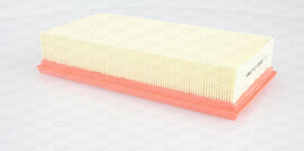 Air Filter (EAF3451.10)