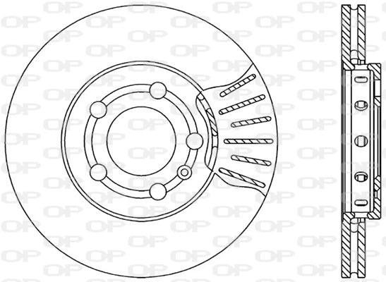 Brake Disc (BDR1730.20)