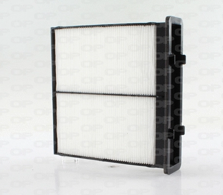 Filter, cabin air (CAF2244.01)