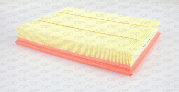 Air Filter (EAF3194.10)