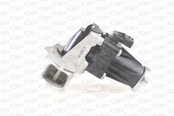 EGR Valve (EGR3043.00)