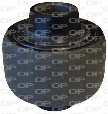 Mounting, control/trailing arm (SSS1033.11)