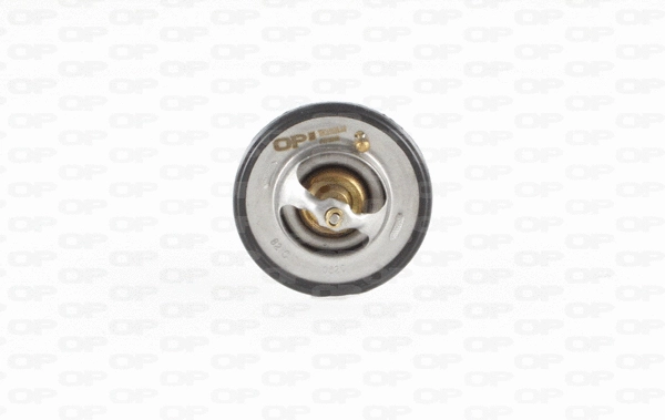 Thermostat, coolant (TRM1008.00)