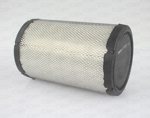 Air Filter (EAF3435.20)