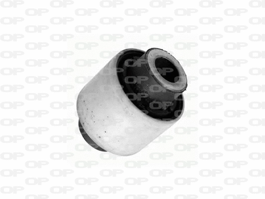 Mounting, control/trailing arm (SSS1210.11)