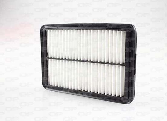 Air Filter (EAF3704.10)